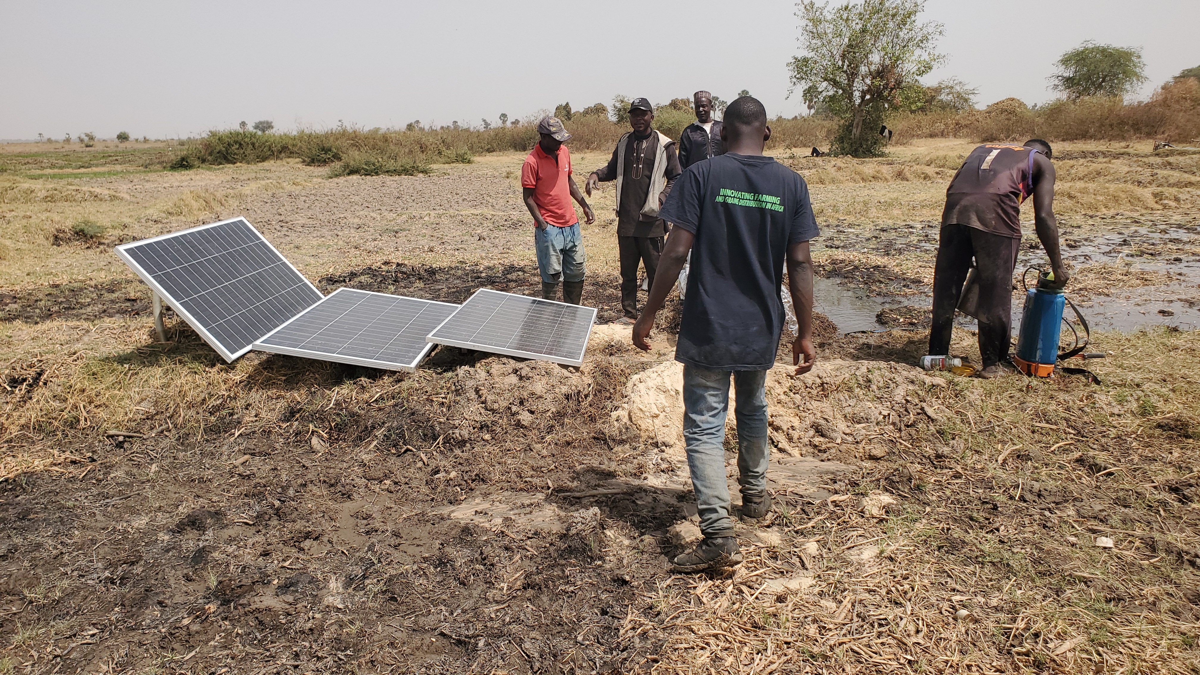 KITA Farm's first harvest